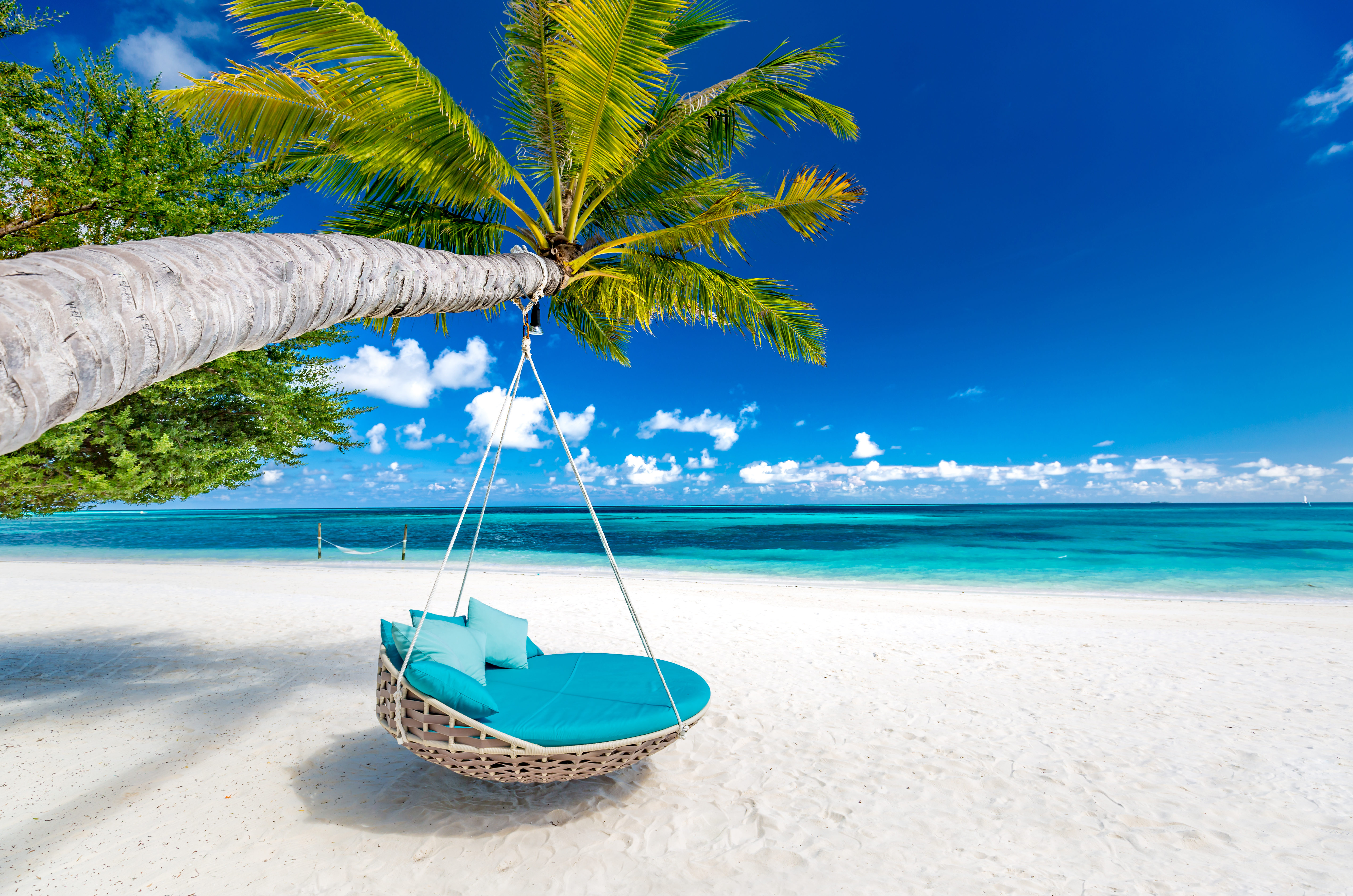 shutterstock_1135932671